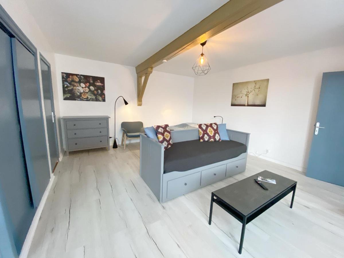 015 Chic & Cosy Studio 41M2 Hypercentre Wifi Smart Tv Netflix Saint-Etienne  Exterior photo