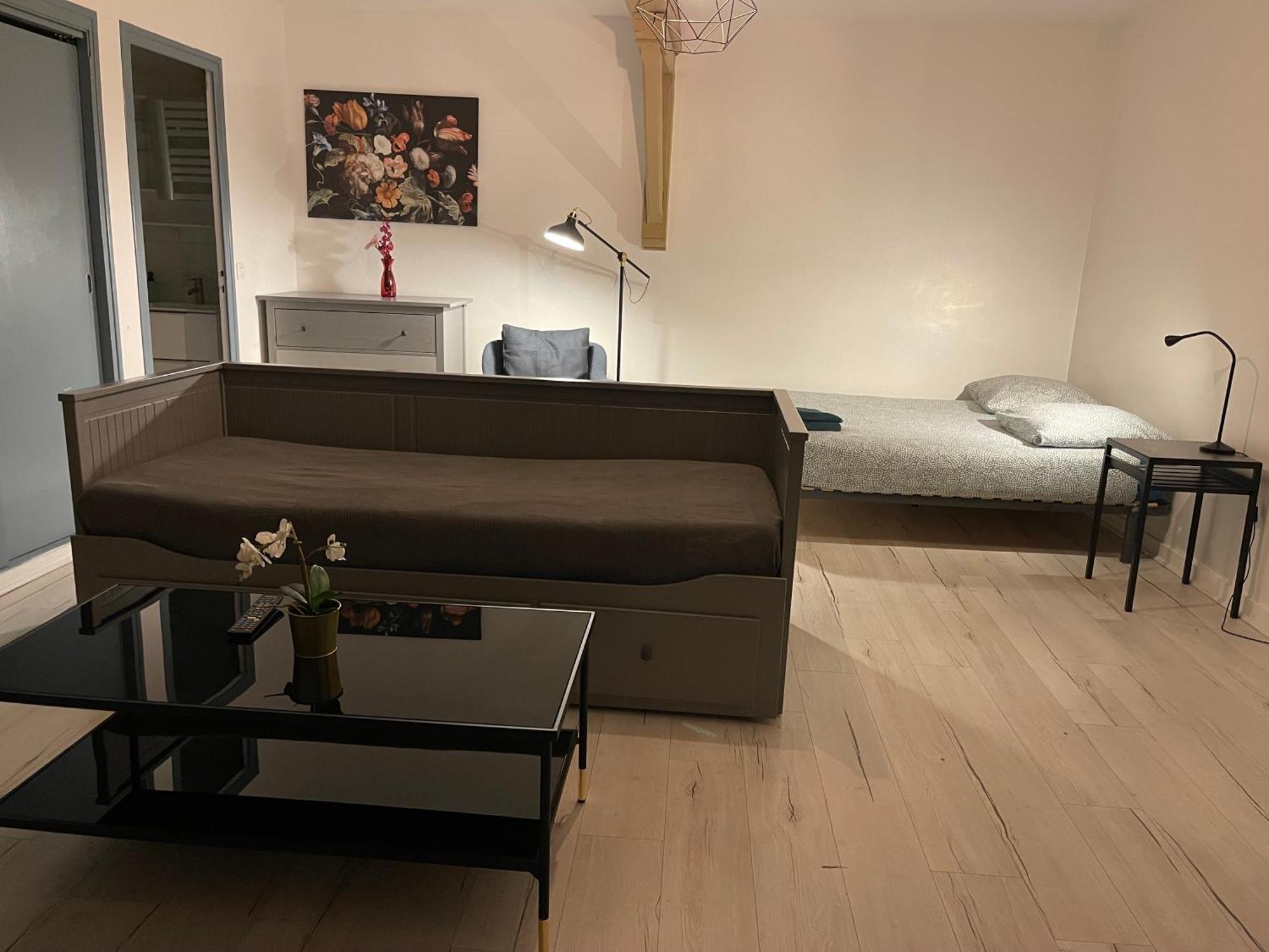 015 Chic & Cosy Studio 41M2 Hypercentre Wifi Smart Tv Netflix Saint-Etienne  Exterior photo